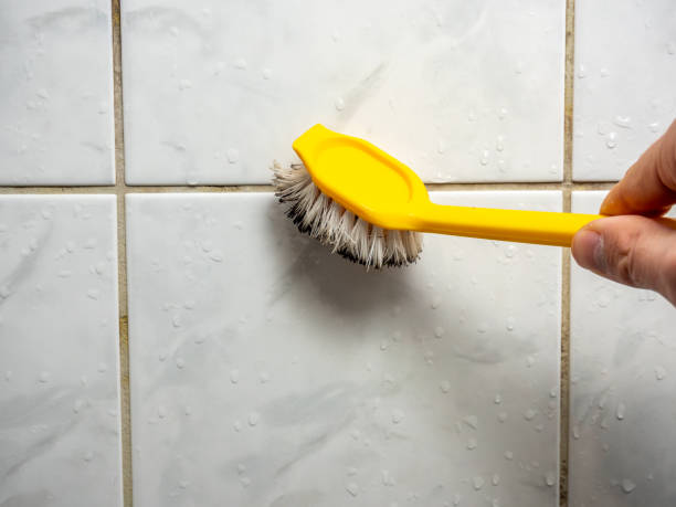 Best Toxic Mold Removal  in Manhasset Hills, NY