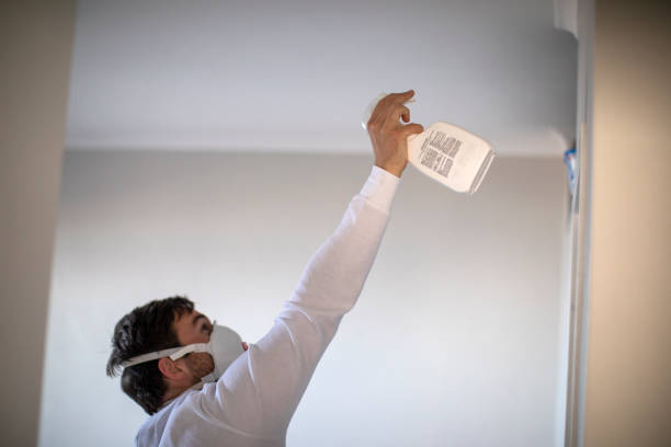 Best Mold Cleaning Services  in Manhasset Hills, NY